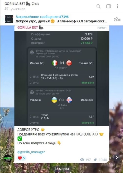 GORILLA BET — платные прогнозы на спорт в ТГ, отзывы