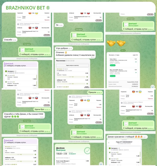 BRAZHNIKOV BET — оценка прогнозов каппера в Телеграмм, отзывы